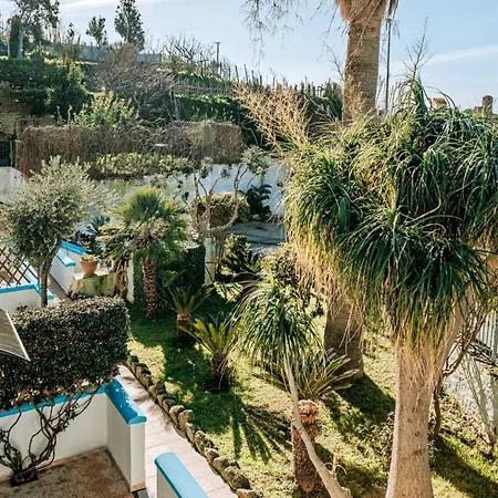 Ischia Casa Don Peppe Forio (Isola d'Ischia)